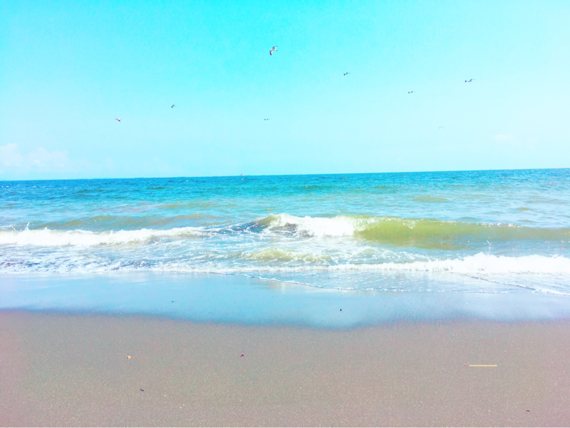 Content_image1-2